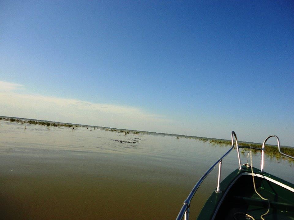 PLIMBARI IN DELTA  - 21381.jpg